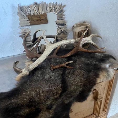 Haus Schnoeller Daire Bach  Dış mekan fotoğraf