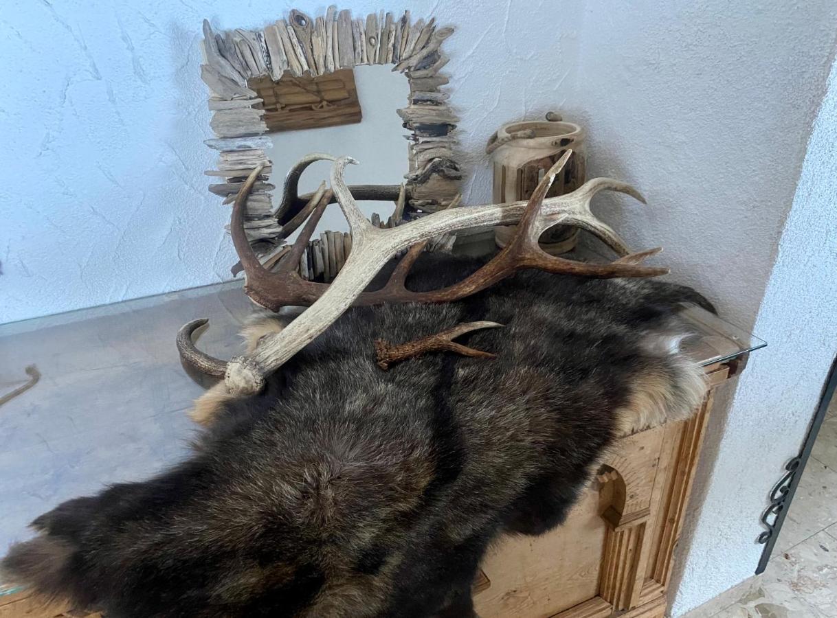 Haus Schnoeller Daire Bach  Dış mekan fotoğraf